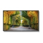 NEC X554HB Commercial Display